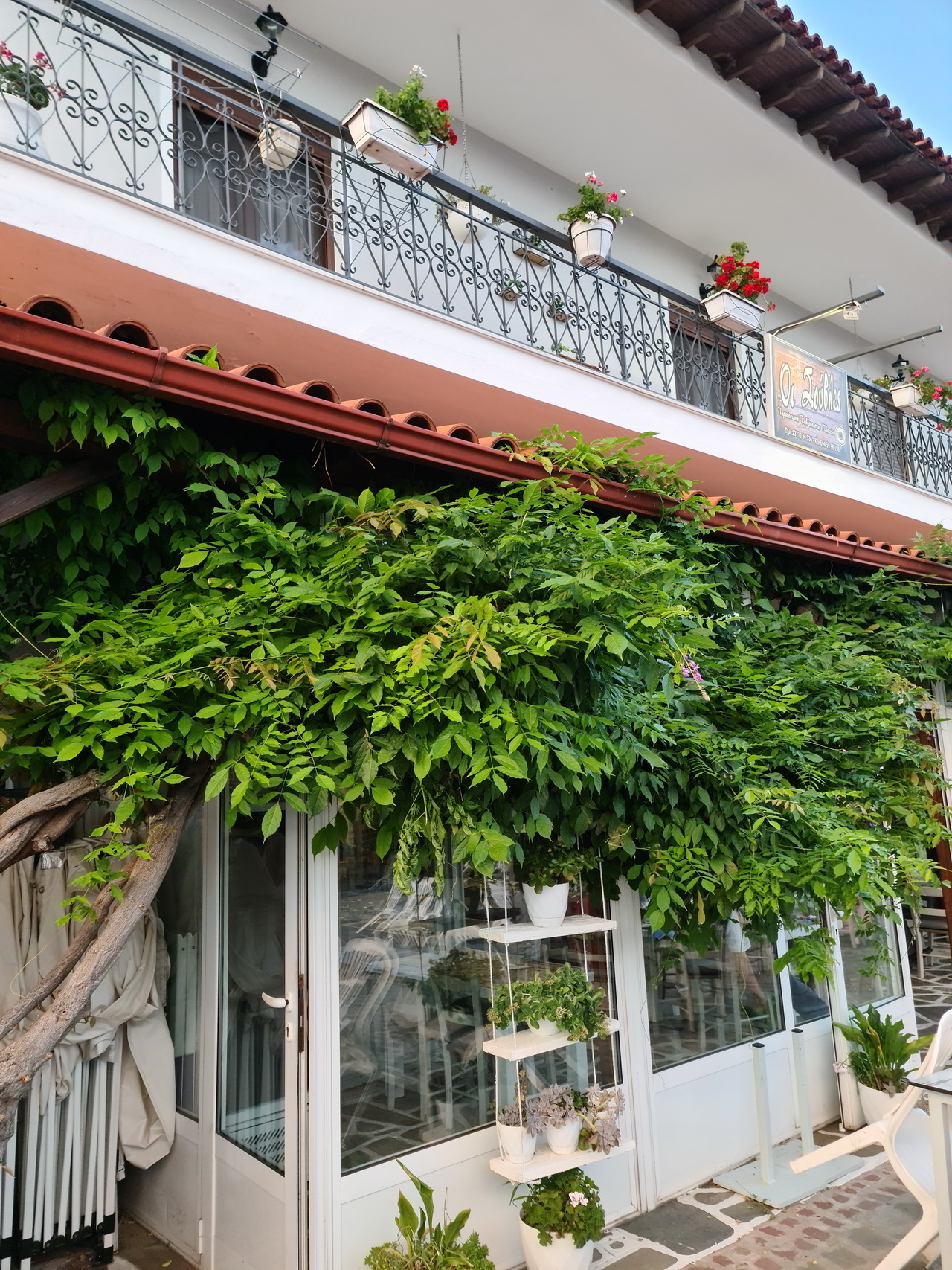  Taxiarchis Halkidiki 